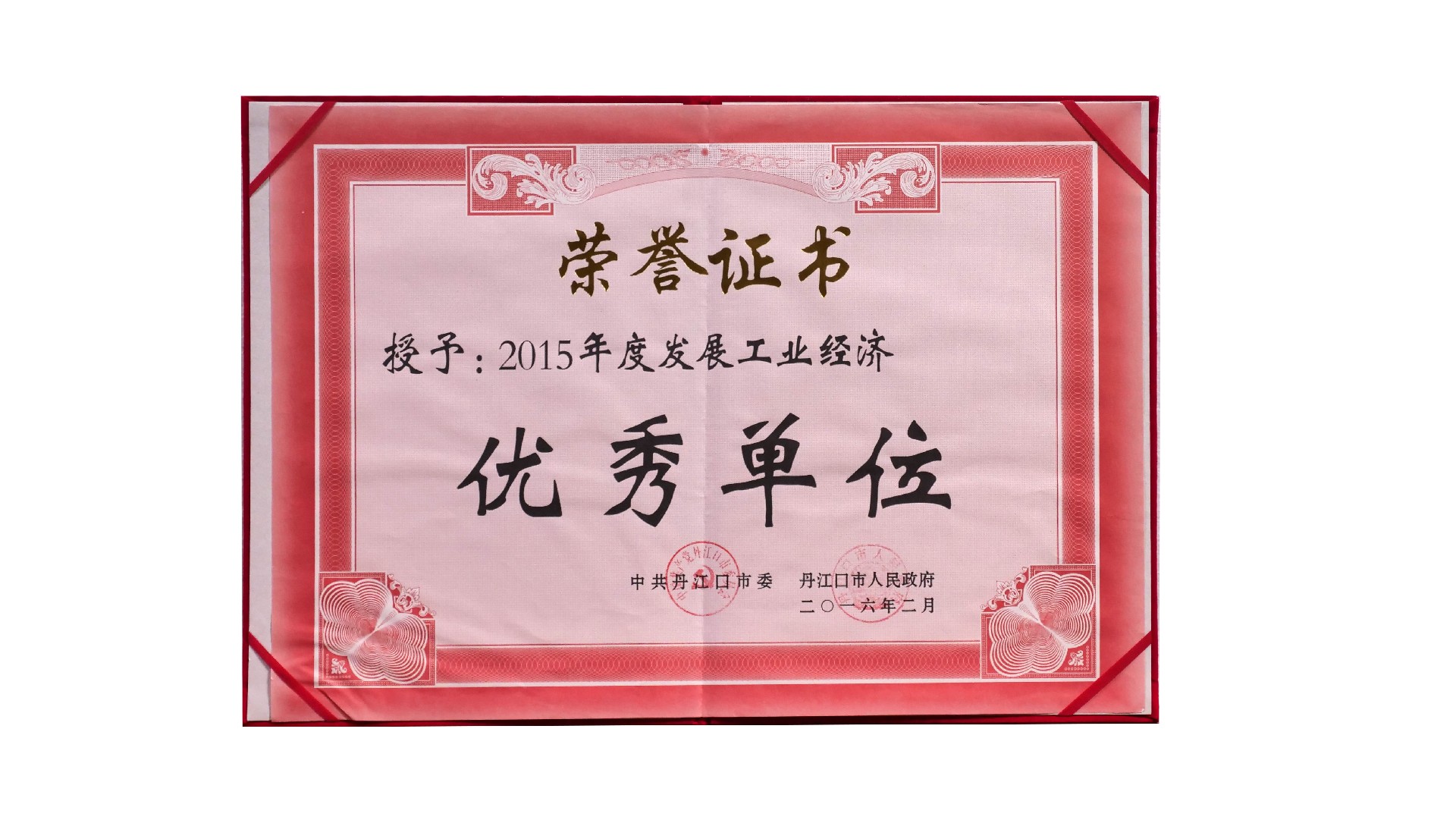 （生物）2015年度發(fā)展工業(yè)經(jīng)濟(jì)優(yōu)秀單位.jpg