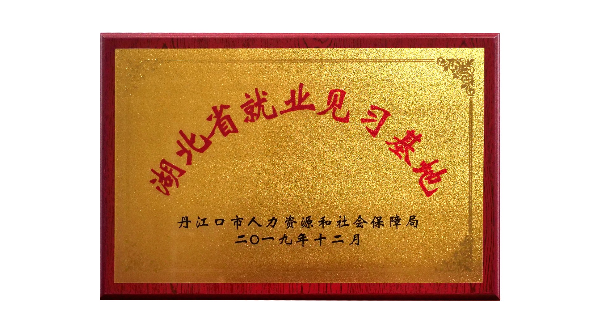 （生物）湖北省就業(yè)見習基地201912.jpg