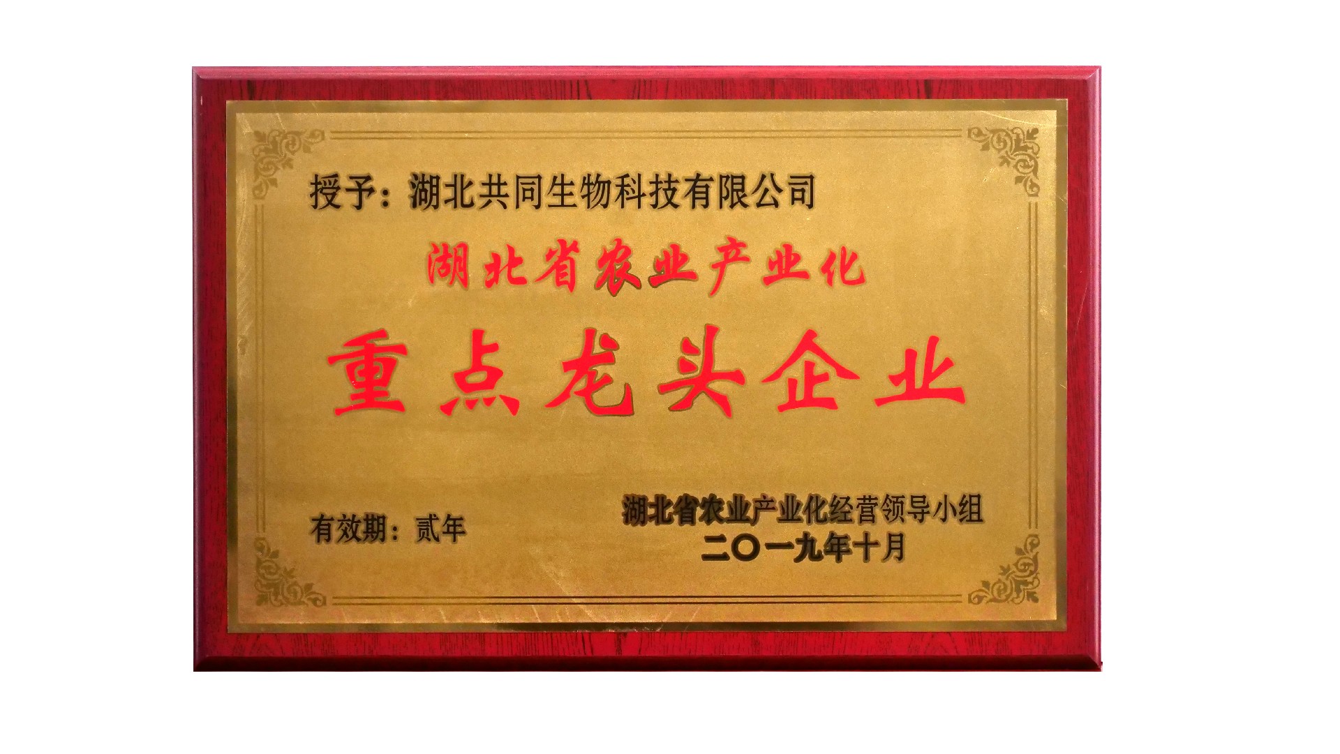 （生物）湖北省農(nóng)業(yè)產(chǎn)業(yè)化重點(diǎn)龍頭企業(yè)201910.jpg